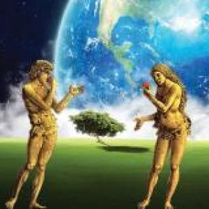 Imagen de portada del videojuego educativo: La creacion Vs. Evololucion Pt1, de la temática Religión