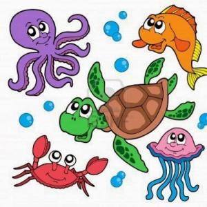 Animales acuáticos
