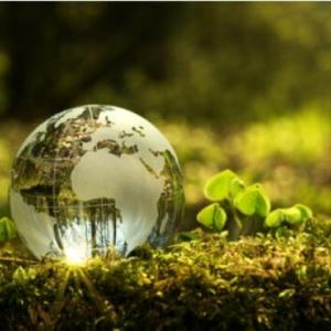Introducción A Medio Ambiente