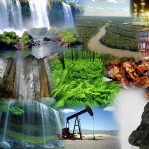 Vamos a cuidar el medio ambiente.