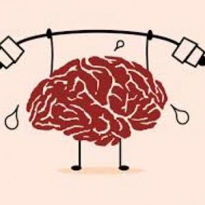 Curiosidades del cerebro