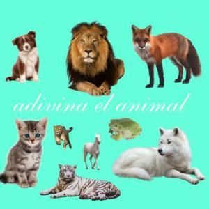 Animales