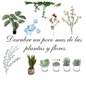 Plantas y flores