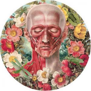 Anatomía y Fisiología