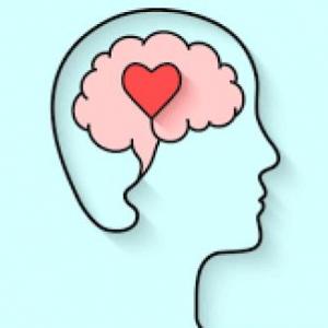 inteligencia emocional
