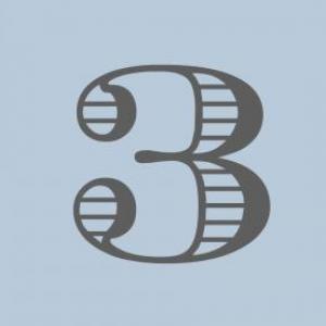 Grupo 3 8voB