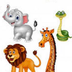 Animales salvajes
