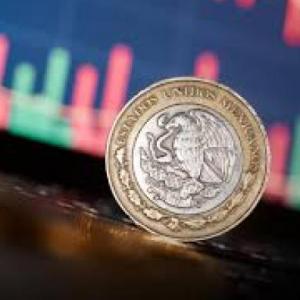 Desarrollo estabilizador