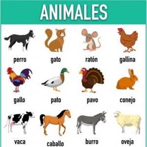 Portada del juego Tribia De Animales – Cultura general