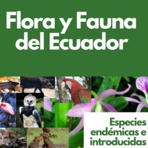 Conecta la Flora y la Fauna 