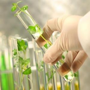 APRENDE DE LA QUIMICA VERDE