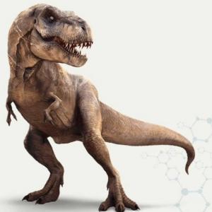 DINO TRIVIA