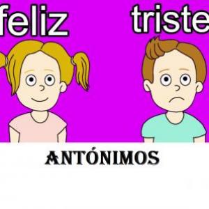 Palabras antónimas