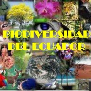 BIODIVERSIDAD DEL ECUADOR