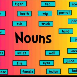 Vocabulary