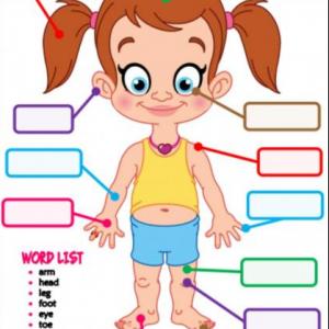 Partes del cuerpo diferentes