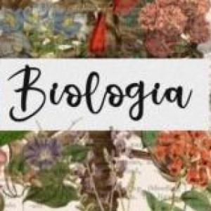 Biología:Niveles de Organización de la Materia
