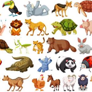 La oca de animales