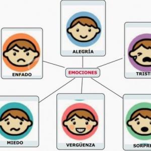 EMOCIONES