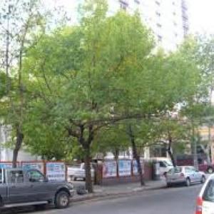 Calidad de vida urbana y espacios verdes