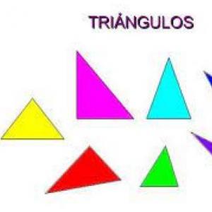 Triángulos y cuadriláteros