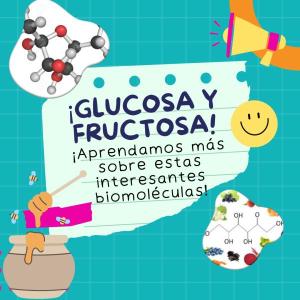 Las dulces biomoléculas (fructosa y glucosa)