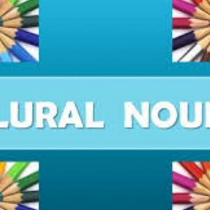 PLURAL NOUNS