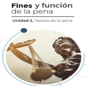 Fines y función de la pena!