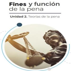 Fines y función de la pena