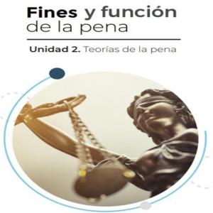 Fines y función de la pena.