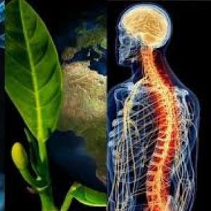 BIOLOGIA
