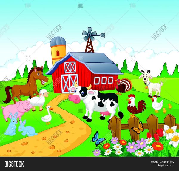 FARM ANIMALS