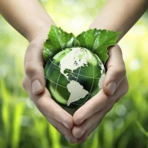 Contaminación Ambiental