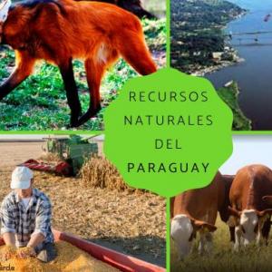 Recursos Naturales del Paraguay