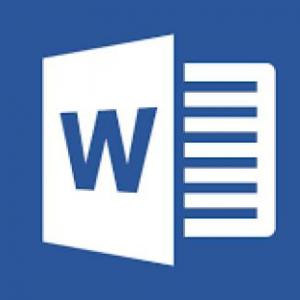 MS Word