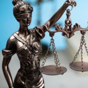 Juicio de Nulidad