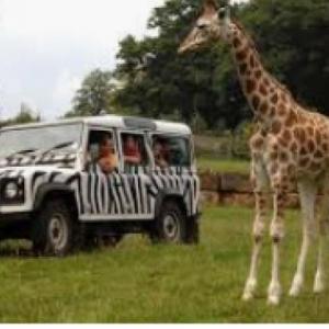 Zoos