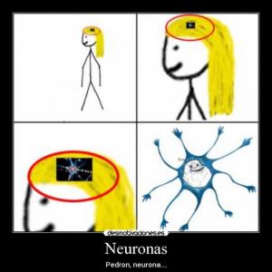 NEUROCIENCIA