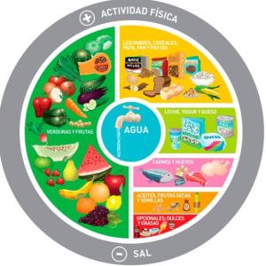 Alimentos saludables