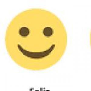 INTELIGENCIA EMOCIONAL