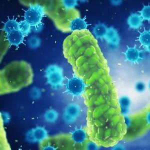 Imagen de portada del videojuego educativo: Actividad Lúdica - Bacterias, de la temática Biología