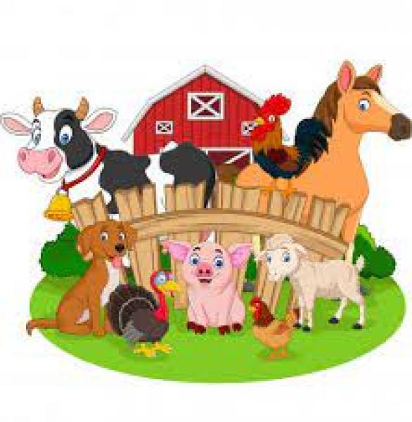 AGRUPAR LAS TARJETAS CON EL MISMO ANIMAL