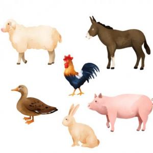 CONOCIENDO A LOS ANIMALES DE GRANJA