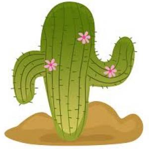 cactus us