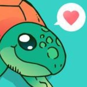 amor de tortuga