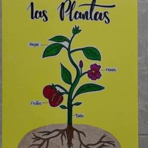 Portada del juego LAS PLANTAS – Biología