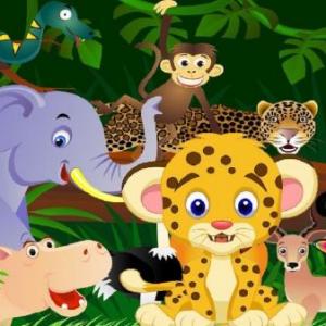 jungla animal