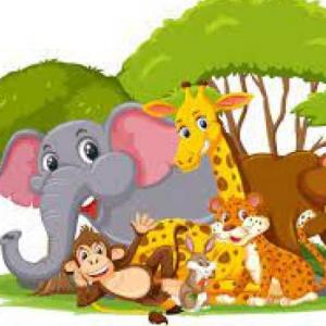 jungla animal