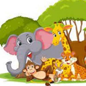 jungla animal