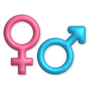 Caracteres Sexuales Primarios